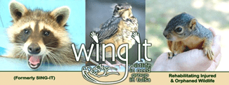 wing-it-logo