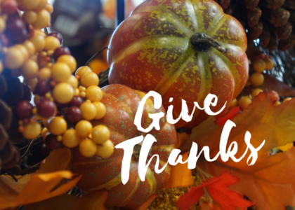 Grapes and gourds with text Give Thanks