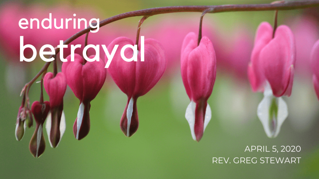 A closeup of a Bleeding Heart plant