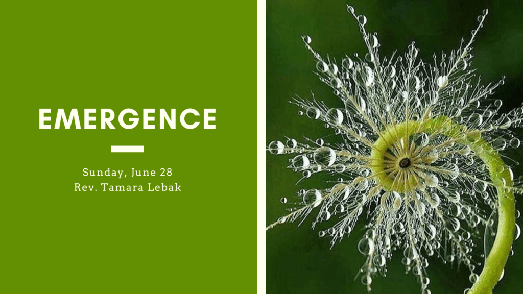 Emergence - Sunday, June 28 - Rev. Tamara Lebak