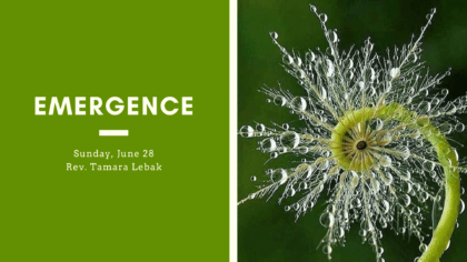 Emergence - Sunday, June 28 - Rev. Tamara Lebak