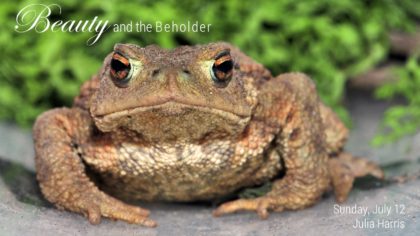 Beauty and the Beholder - July 12 2020 - Julia Harris
