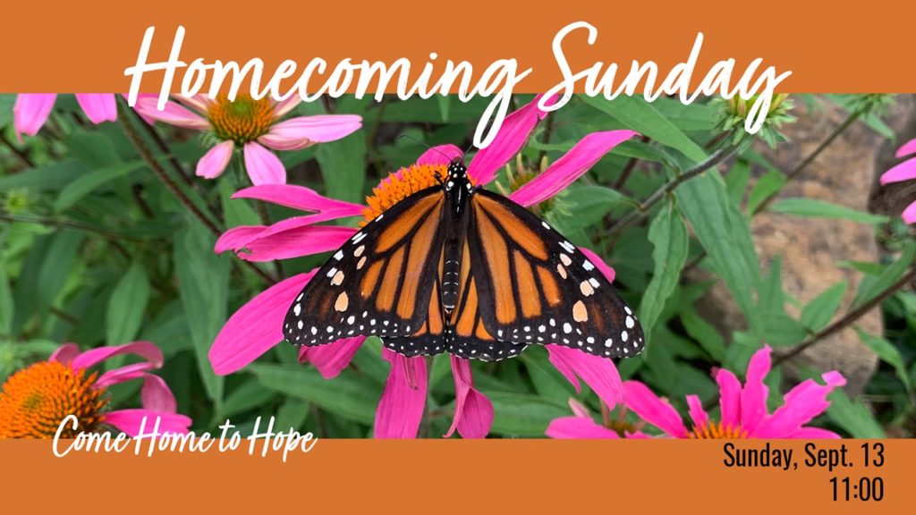 Photo of a monarch butterfly on purple coneflower plants with text Homecoming Sunday - Come Home to Hope - Sunday, Sept. 13 11:00