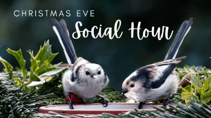 Christmas Eve Social Hour