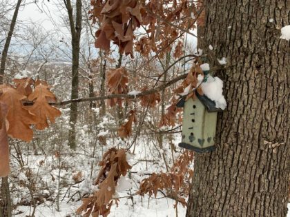 A bird house with snow on the roof